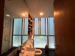 St Patrick's Residences (D15), Apartment #549265491